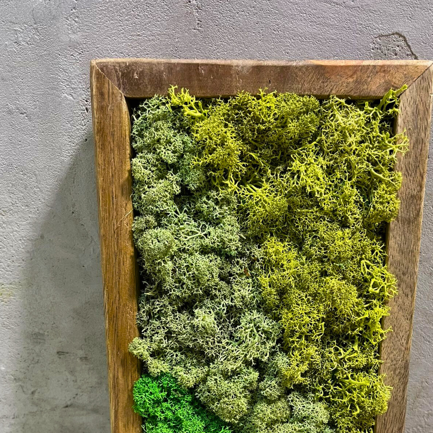 Zelená symfonie přírody 29x16