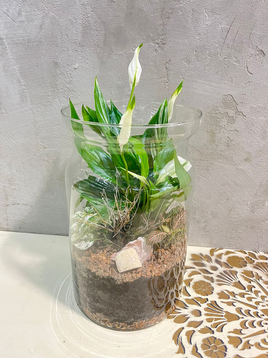 Zelený ráj ve skle