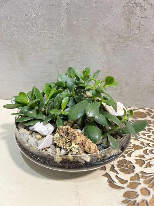 Zenová zahrádka v misce