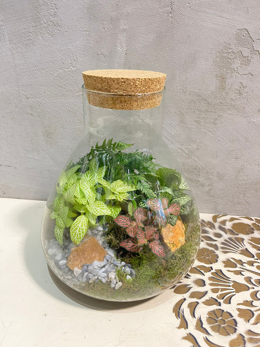 Zelený ráj v láhvi: Miniaturní ekosystém