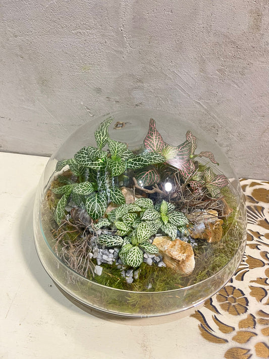 Zahrada v misce: Přírodní elegance ve skle