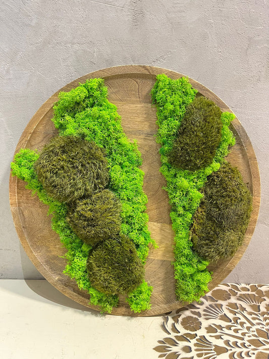 Zelená harmonie: Teakový kulatý mechový obraz 44cm