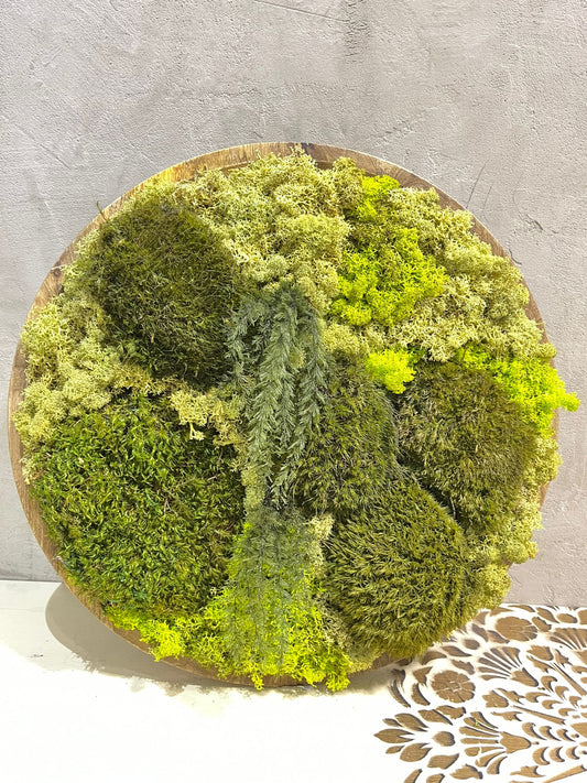 Zelená oáza: Kulatý mechový obraz v teakovém rámu 44cm