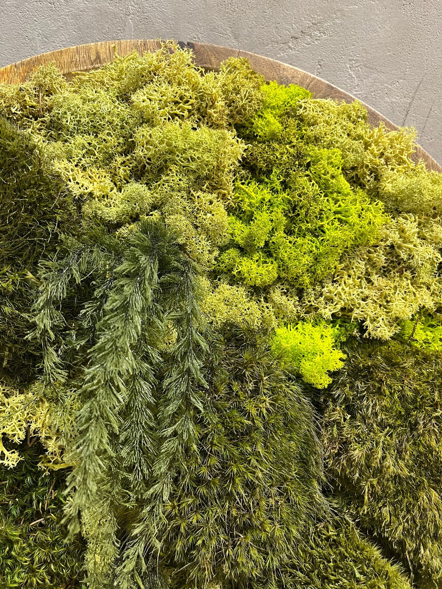 Zelená oáza: Kulatý mechový obraz v teakovém rámu 44cm