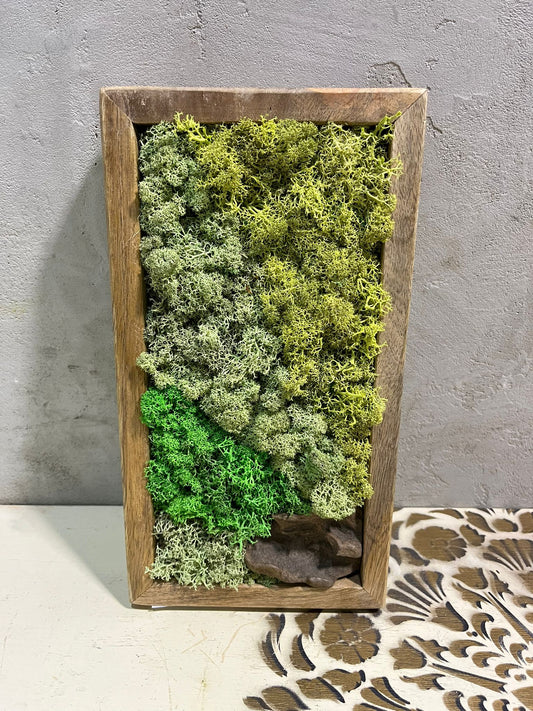 Zelená symfonie přírody 29x16