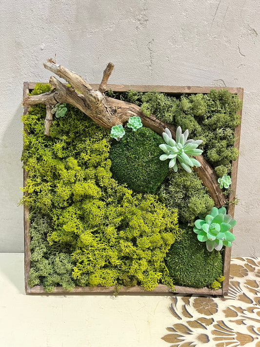 Přírodní harmonie: Mechový obraz s dřevěným prvkem a sukulenty 30x30cm