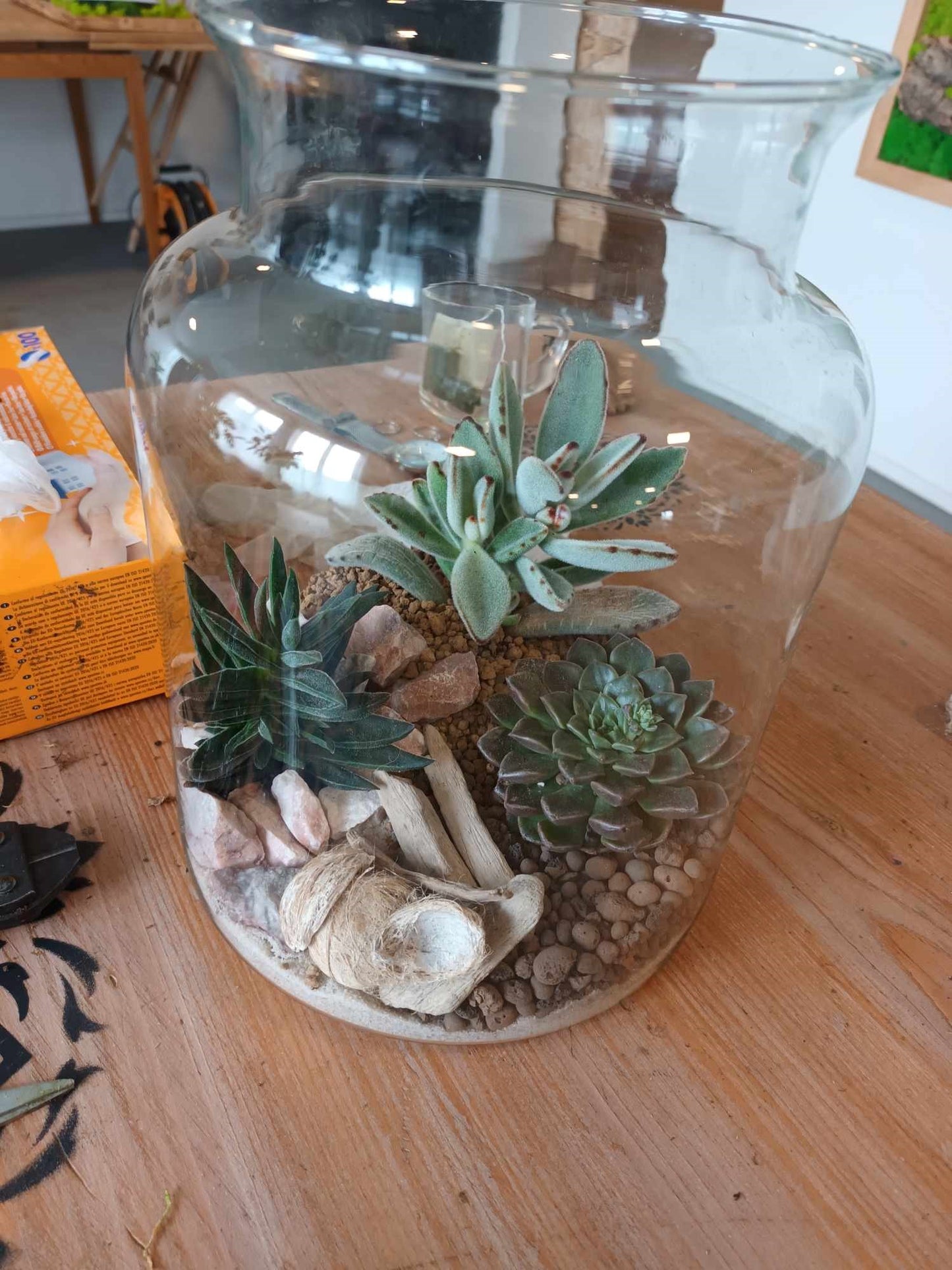 Workshop - Výroba Kokedama a terária