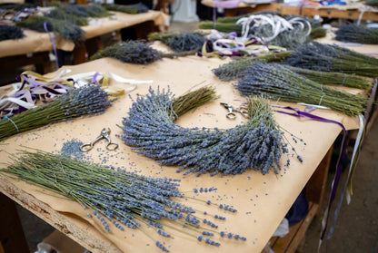 Workshop Brno - Levandulový věnec a vonítko